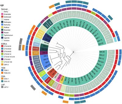 Prevalence and Characteristics of Ceftriaxone-Resistant Salmonella in Children’s Hospital in Hangzhou, China